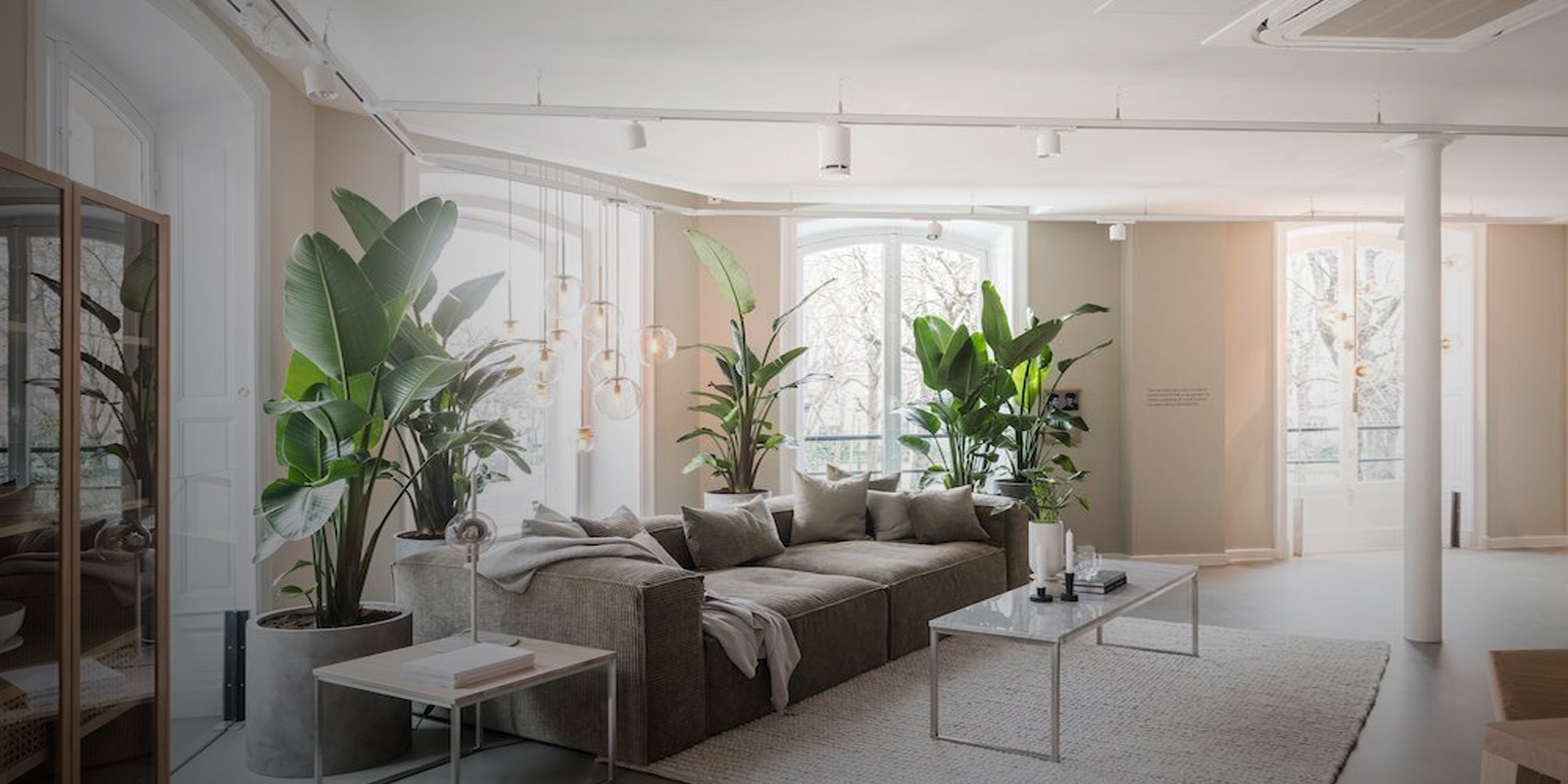 Il suono non è solo sottofondo: è parte del successo.